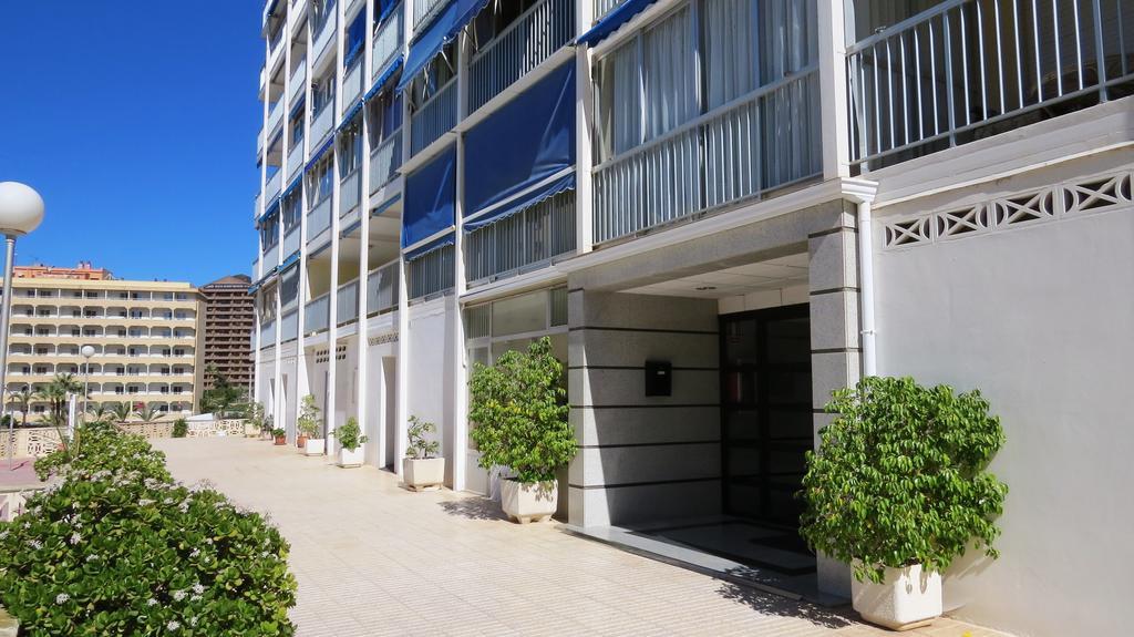 Halcon Levante Benidorm Pokój zdjęcie