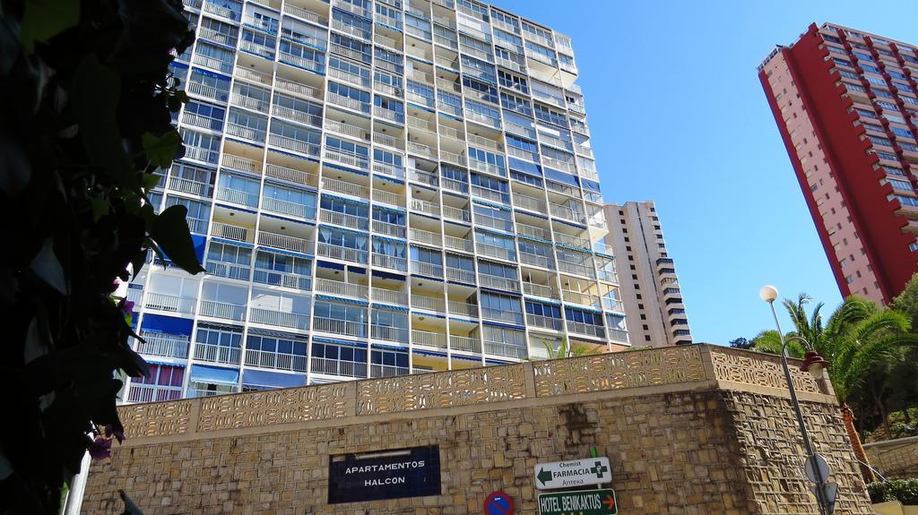 Halcon Levante Benidorm Pokój zdjęcie